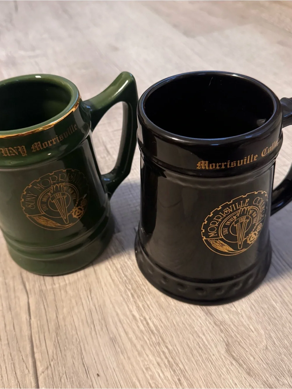 Vtg 90’s SUNY Morrisville Ceramic Large Beer Stein Set College Mugs USA RARE!
